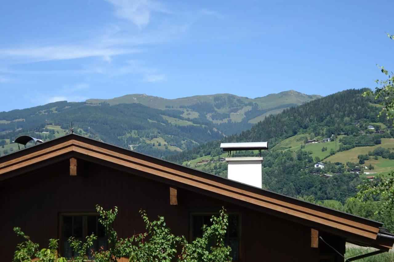 Ferienwohnung Appartement Am Schilf Xl Zell am See Exteriér fotografie